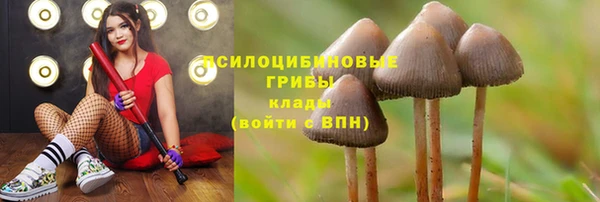 соль курить ск Переславль-Залесский