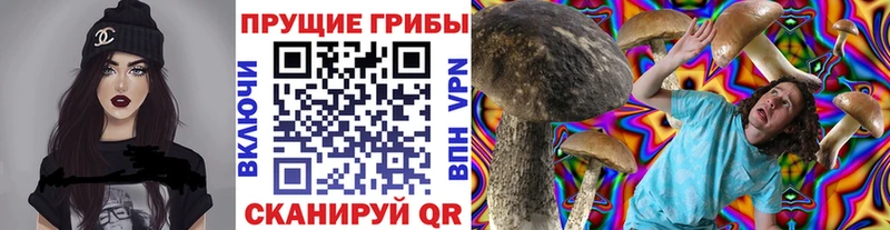 Галлюциногенные грибы мицелий  что такое   Волжск 