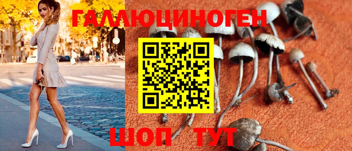 Псилоцибиновые грибы Magic Shrooms Волжск